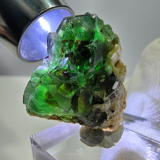 Cube de fluorite fantôme zonal, tourmaline hyalite muscovite Schörl, Erongo, Namibie 24 x 22 x 11 mm