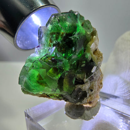 Cube de fluorite fantôme zonal, tourmaline hyalite muscovite Schörl, Erongo, Namibie 24 x 22 x 11 mm 