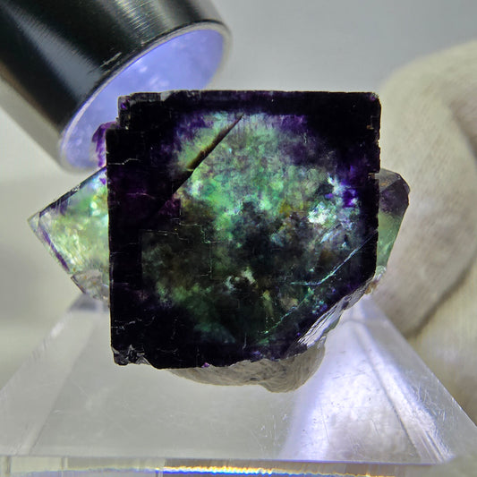 Spécimen rare de cube de fluorite fantôme, vert zonal et violet, Okorusu, Namibie, 28 x 16 x 18 mm