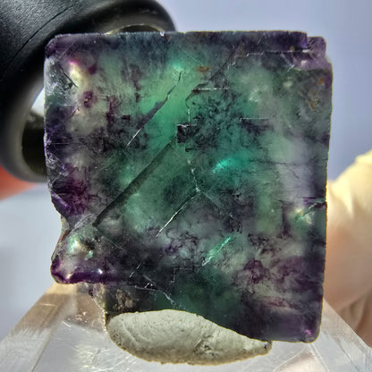 Phantom Fluorit Würfel parkettiert, grün lila Okorusu, Namibia 23*22*18mm