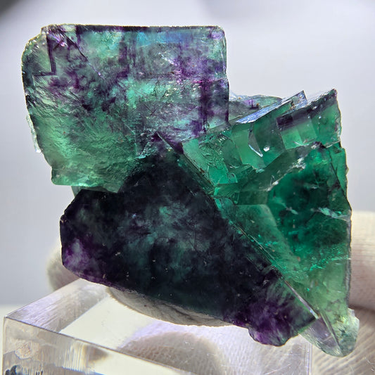 Spécimen rare de cube de fluorite fantôme, vert-violet zonal, Okorusu, Namibie, 46 x 37 x 24 mm