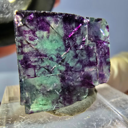 Phantom Fluorit Würfel parkettiert, grün lila Okorusu, Namibia 19*17*9mm