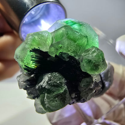Cube de fluorite fantôme hexagonal, muscovite, tourmaline Schörl Erongo, Namibie 29*21*21mm 