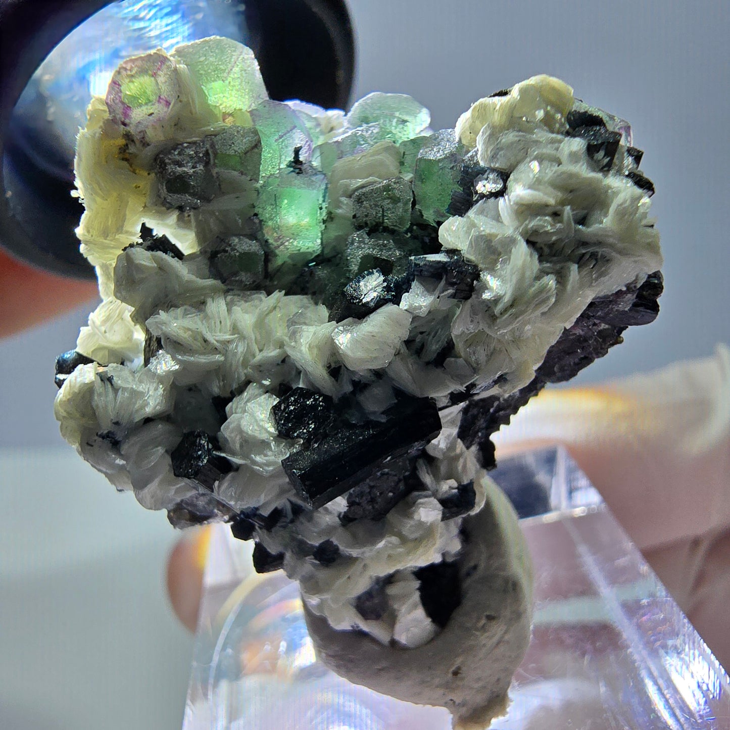 Cube de fluorite fantôme, zonal, muscovite, spécimen de tourmaline Schorl, Erongo, Namibie, 36 x 31 x 22 mm 