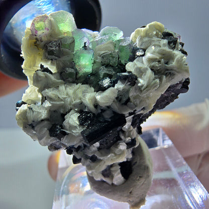 Cube de fluorite fantôme, zonal, muscovite, spécimen de tourmaline Schorl, Erongo, Namibie, 36 x 31 x 22 mm 