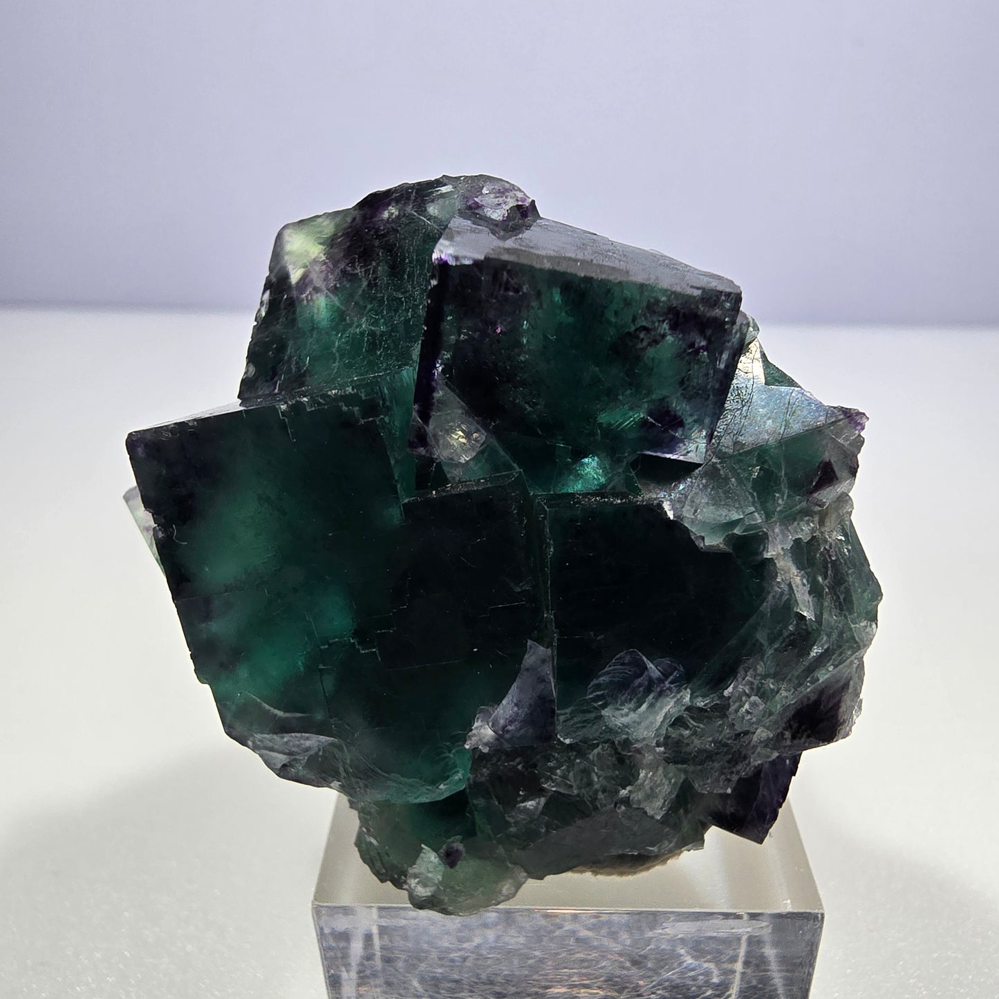 Spécimen de cube de fluorite fantôme transparente, vert-violet zonal, Okorusu, Namibie, 47 x 43 x 31 mm 