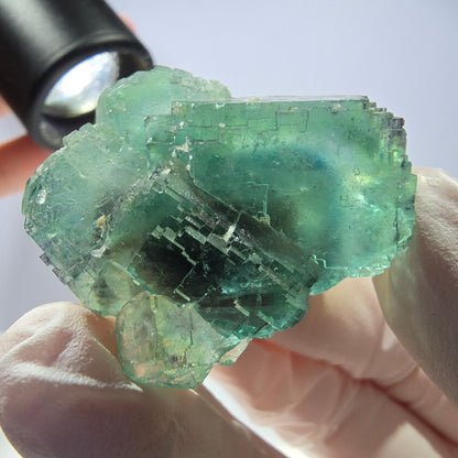 Spécimen de cube de fluorite fantôme transparente, vert parqueté, Okorusu, Namibie, 43 x 37 x 24 mm 
