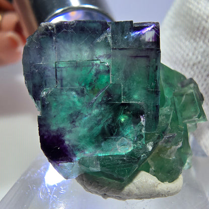 Spécimen rare de cube de fluorite fantôme, vert zonal et violet, Okorusu, Namibie, 30 x 26 x 18 mm 