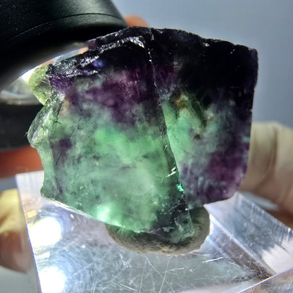 Spécimen de cube de fluorite fantôme, parqueté vert violet Okorusu, Namibie 26*22*13 mm 