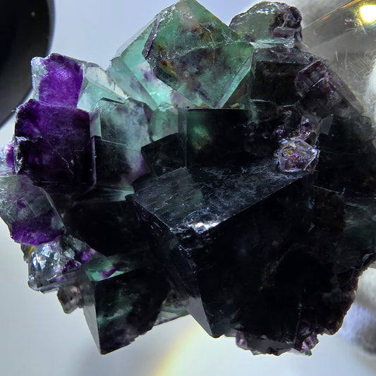 Spécimen rare de cube de fluorite fantôme, vert zonal et violet, Okorusu, Namibie, 40 x 39 x 20 mm