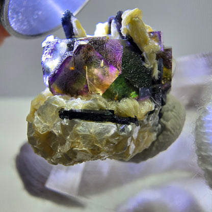 Fluorite fantôme colorée, Spécimen de tourmaline muscovite Schorl, Erongo, Namibie, 23 x 18 x 15 mm 