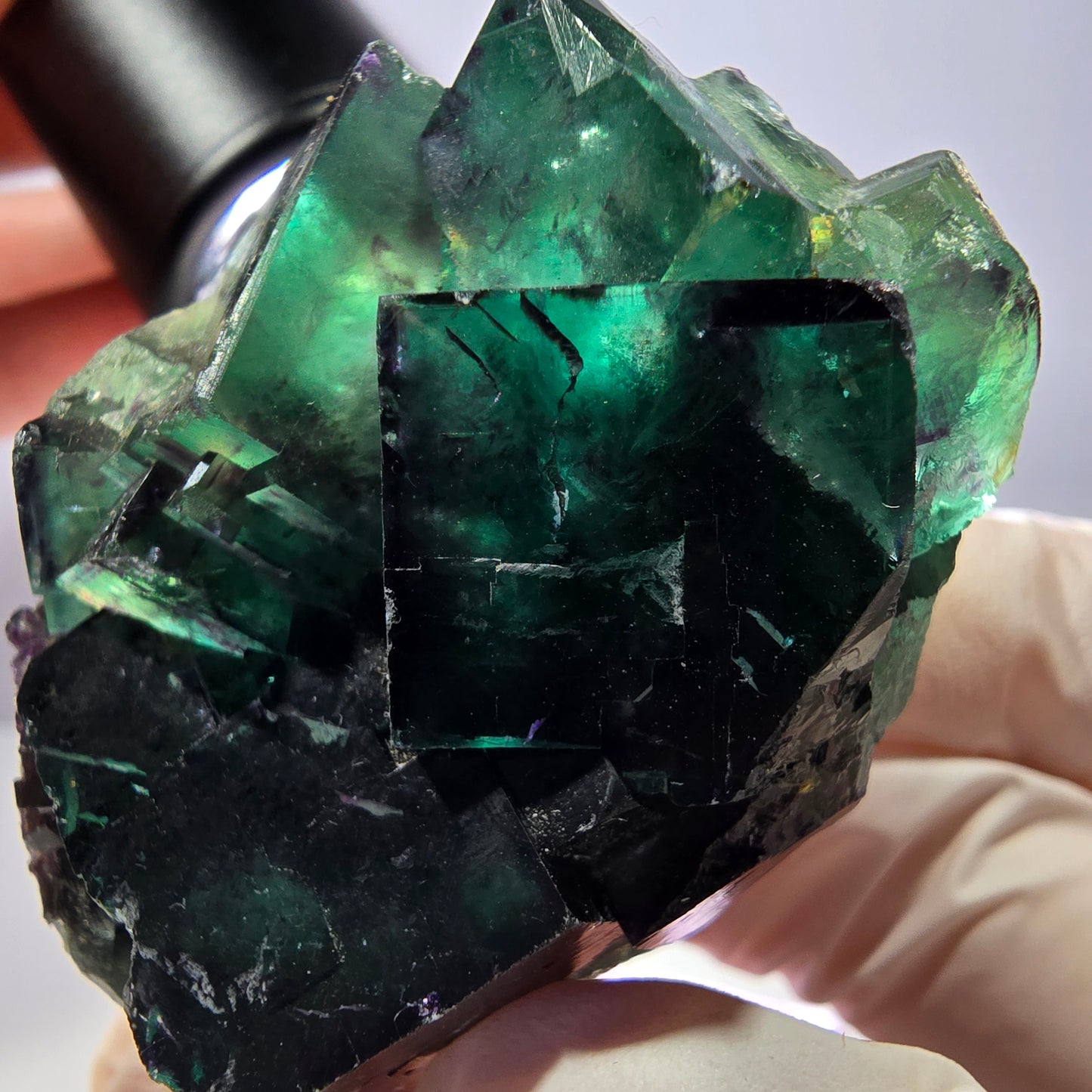 Spécimen de cube de fluorite fantôme, parqueté vert violet Okorusu, Namibie 54*40*27 mm 