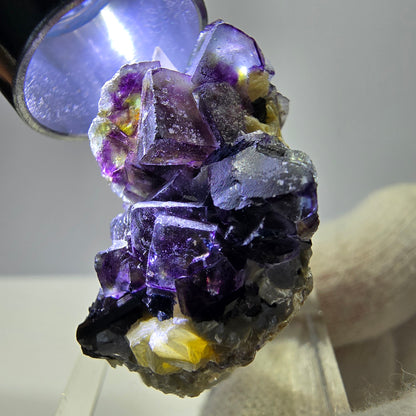 Spécimen de fluorite fantôme colorée, tourmaline schol, muscovite, quartz fumé, Erongo, Namibie, 35 x 25 x 20 mm 