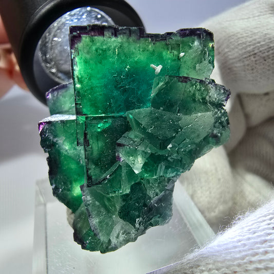 Spécimen rare de cube de fluorite fantôme, vert zonal et violet, Okorusu, Namibie, 39 x 34 x 19 mm