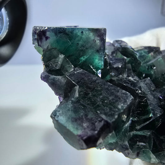 Spécimen rare de cube de fluorite fantôme, vert-violet zonal, Okorusu, Namibie, 73 x 60 x 24 mm