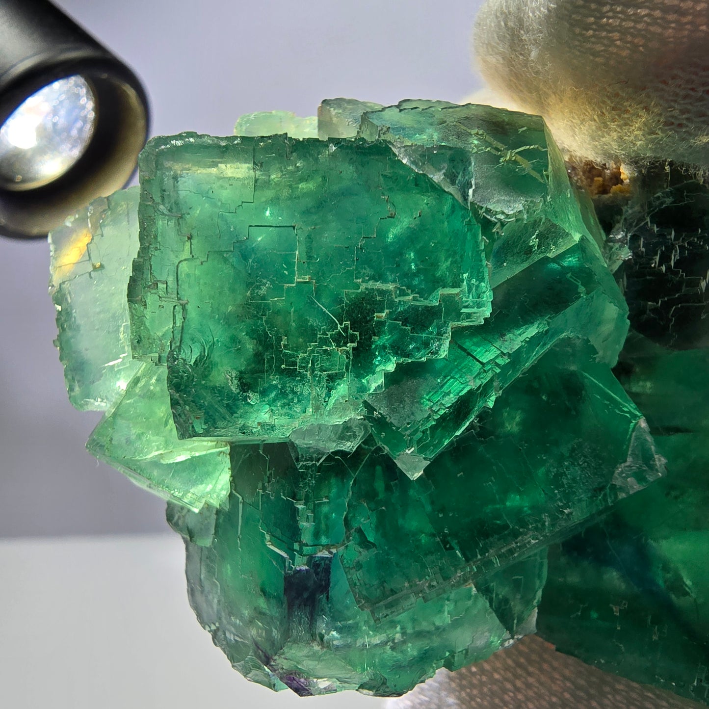 Rare spécimen de cube de fluorite fantôme, parqueté vert Okorusu, Namibie, 74 x 50 x 30 mm 