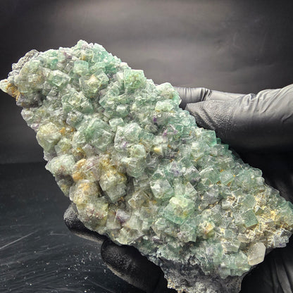 Grands cubes de fluorite zonaux, niveau de quartz vert violet Erongo, Namibie 124*59*27mm