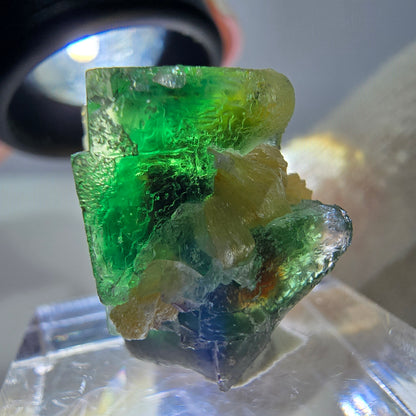 Cube de fluorite fantôme, spécimen de muscovite, Erongo, Namibie, 20 x 16 x 15 mm 