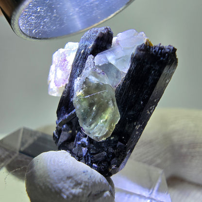 Spécimen de tourmaline Schorl hexagonale en fluorite fantôme, Erongo, Namibie, 21 x 17 x 12 mm 