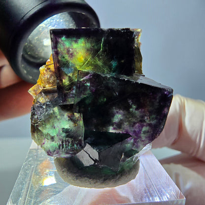 Phantom Fluorit Würfel Stufe, parkettiert grün lila Okorusu, Namibia 39*25*18mm