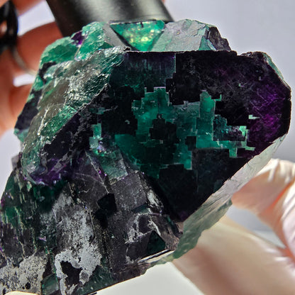 Spécimen de cube de fluorite fantôme vert violet zonal 11:11 Angel Pocket, Namibie 69*53*40mm 