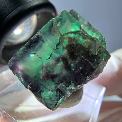 Phantom Fluorite cube parquetted, green purple Okorusu, Namibia 19*19*16mm 
