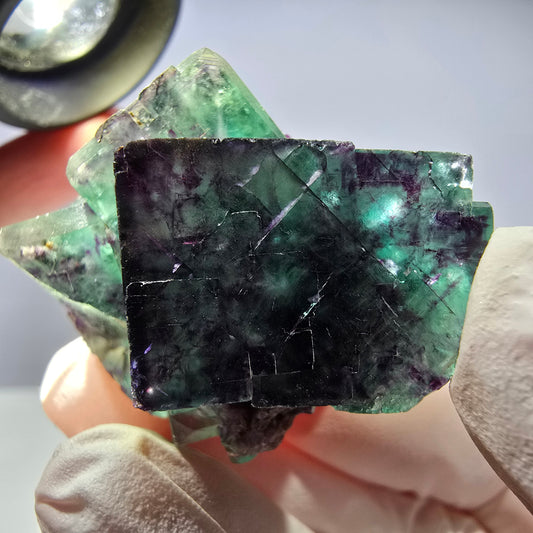 Spécimen de cube de fluorite fantôme parqueté vert violet Okorusu, Namibie 32*31*24 mm 
