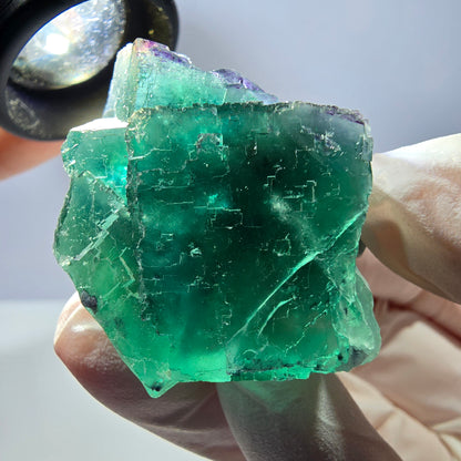 Spécimen de cube de fluorite fantôme transparente, vert parqueté, Okorusu, Namibie, 53 x 40 x 30 mm 