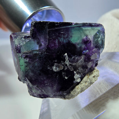 Spécimen rare de cube de fluorite fantôme, vert zonal et violet, Okorusu, Namibie, 23 x 18 x 19 mm 