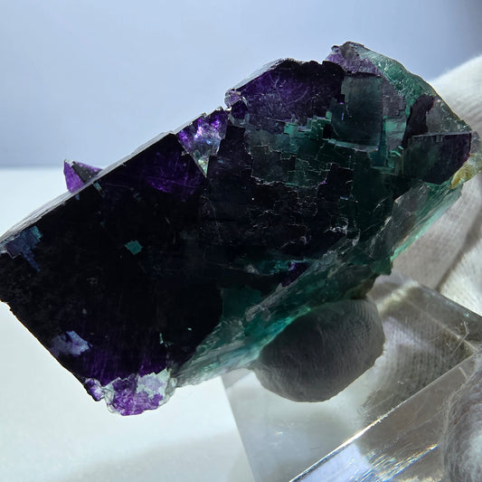 Spécimen rare de cube de fluorite fantôme, vert zonal et violet, Okorusu, Namibie, 46 x 37 x 29 mm