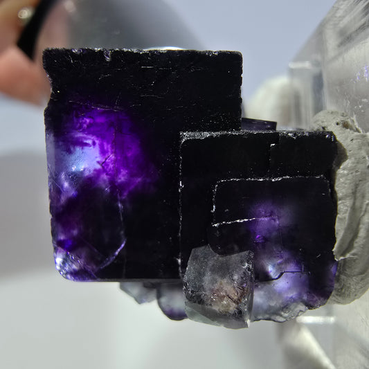 Spécimen rare de cube de fluorite fantôme, vert zonal et violet, Okorusu, Namibie, 24 x 24 x 19 mm