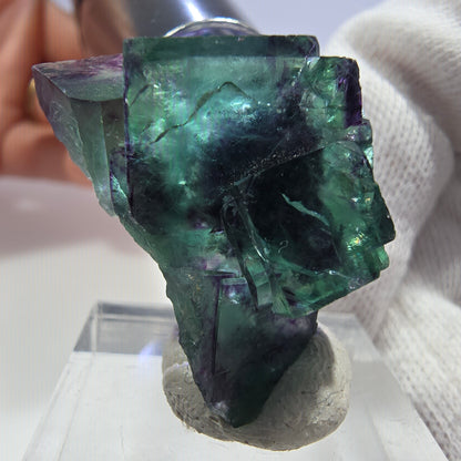 Rare spécimen de cube de fluorite fantôme, vert-violet zonal, Okorusu, Namibie, 31 x 21 x 15 mm 