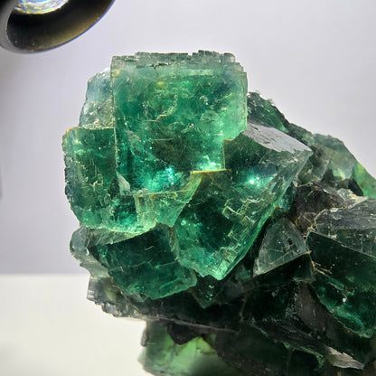 Grand spécimen de cube de fluorite fantôme, parqueté, vert Okorusu, Namibie 101*84*63mm 