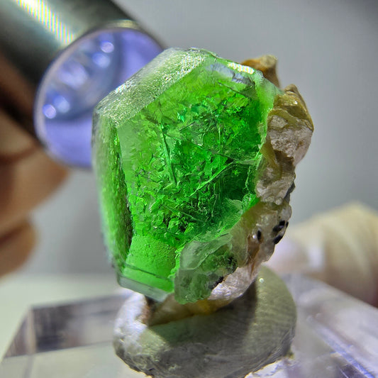 Cube hexagonal de fluorite fantôme, muscovite, tourmaline Schörl, Erongo, Namibie, 20 x 17 x 13 mm