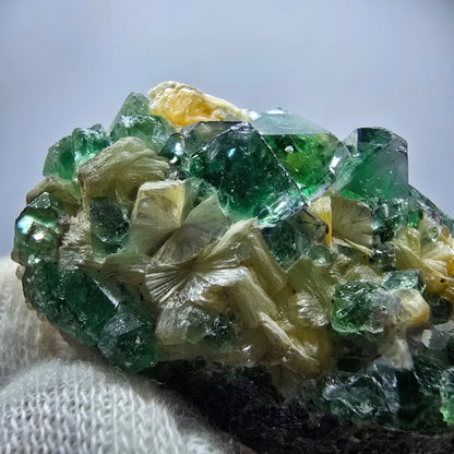 Rare Phantom Fluorite Cubes, Muscovite Specimen Erongo, Namibia 51*31*24mm 