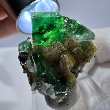 Spécimen de cube de fluorite fantôme zonal, de muscovite et de tourmaline Schorl, Erongo, Namibie, 31 x 24 x 27 mm 