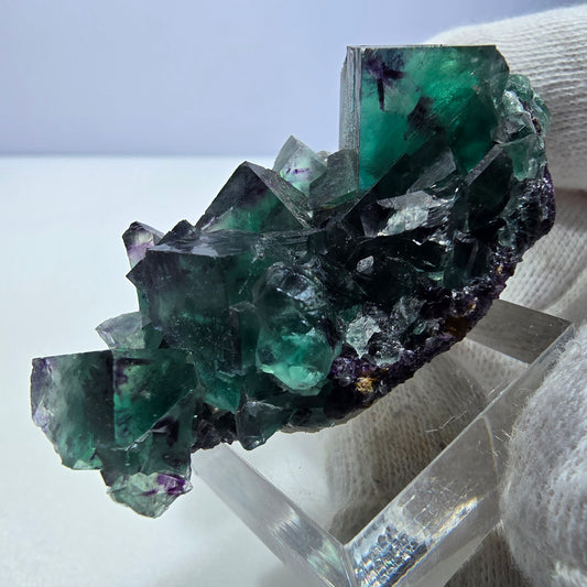 Spécimen rare de cube de fluorite fantôme, vert zonal et violet, Okorusu, Namibie, 60 x 28 x 19 mm