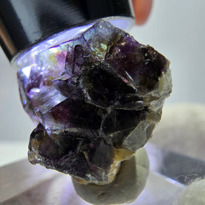 Cubes de fluorite fantôme colorés, spécimen de muscovite, Erongo, Namibie, 23 x 18 x 12 mm 