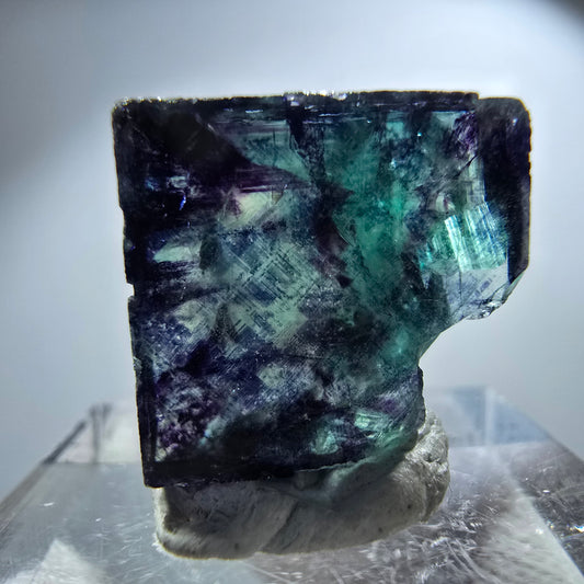 Spécimen rare de cube de fluorite fantôme, vert zonal et violet, Okorusu, Namibie, 23 x 18 x 14 mm