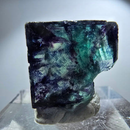 Spécimen rare de cube de fluorite fantôme, vert zonal et violet, Okorusu, Namibie, 23 x 18 x 14 mm 