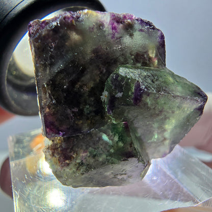 Spécimen de cube de fluorite fantôme, vert violet, Okorusu, Namibie, 24 x 20 x 20 mm 