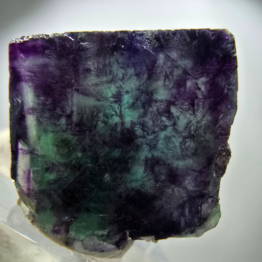 Spécimen rare de cube de fluorite fantôme, vert zonal et violet, Okorusu, Namibie, 26 x 24 x 15 mm