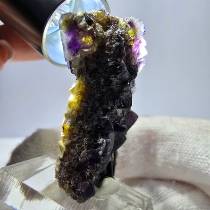 Spécimen de fluorite fantôme colorée, tourmaline scholle, muscovite, Erongo, Namibie, 36 x 28 x 16 mm 