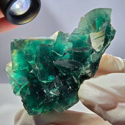 Rare spécimen de cube de fluorite fantôme, parqueté vert Okorusu, Namibie, 65 x 36 x 31 mm 
