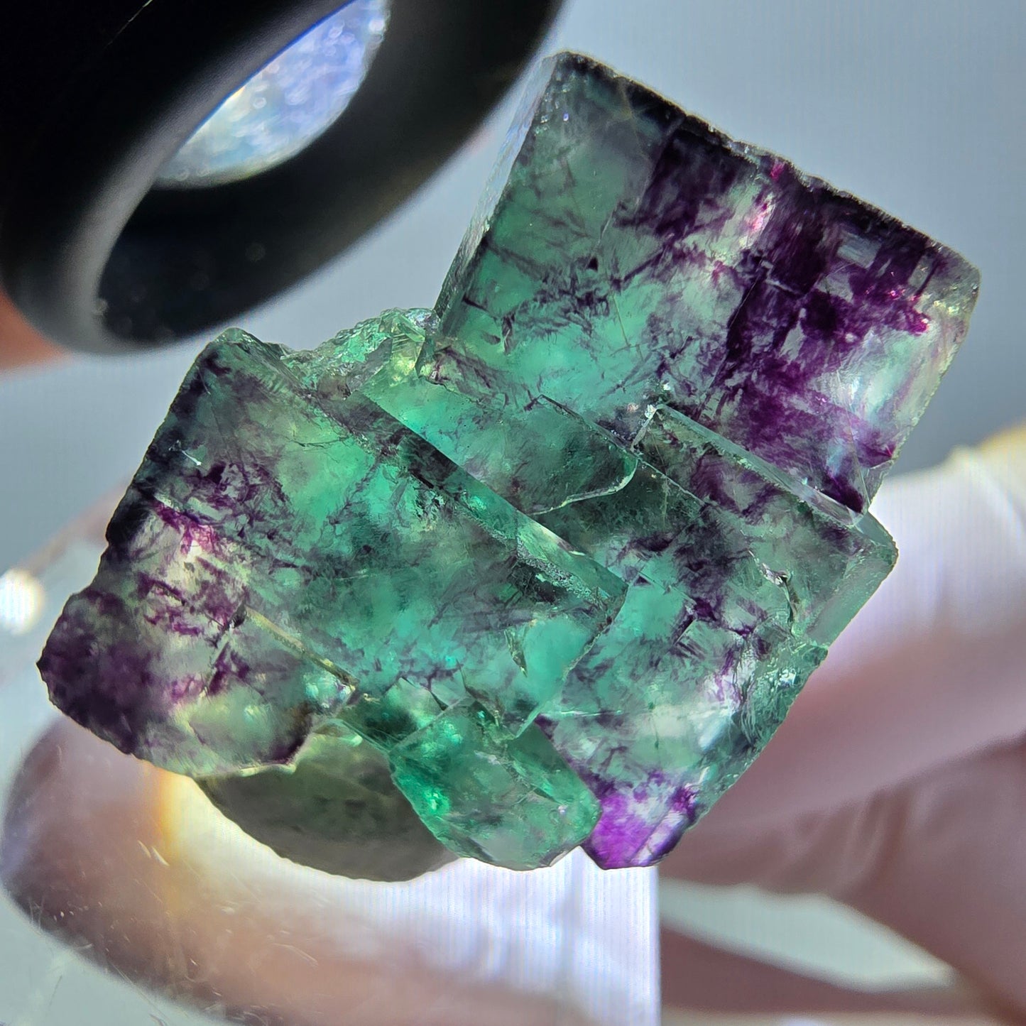 Phantom Fluorit Würfel Stufe, parkettiert grün lila Okorusu, Namibia 26*18*13mm