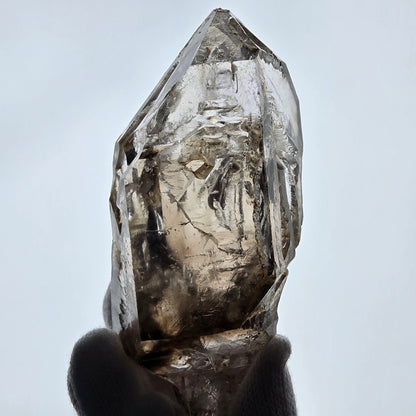 Sceptre DT Enhydro Skeleton Smoky Quartz 4x Bubble (grand) Valentine Pocket Namibie 106*53*46mm 