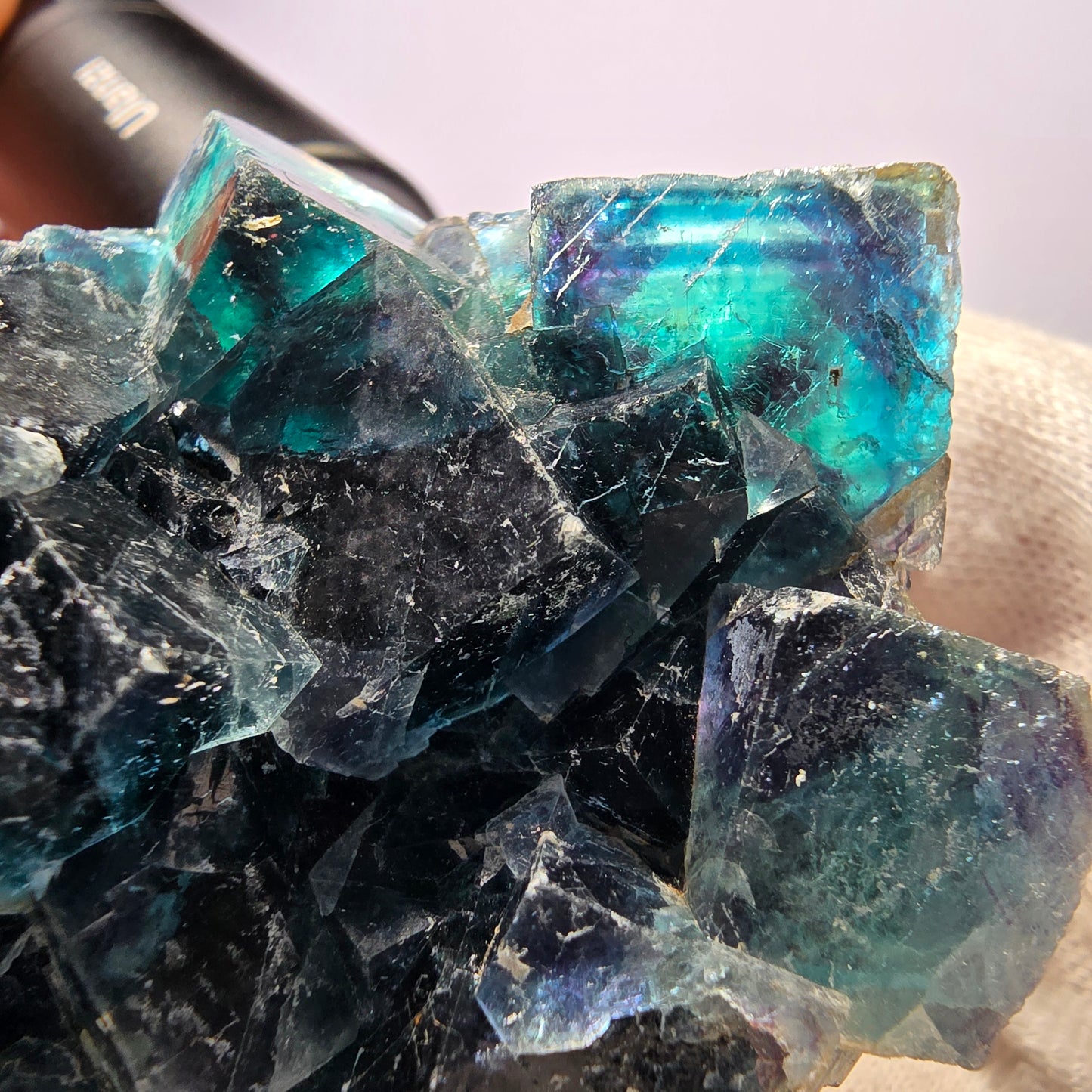 Rare spécimen de cube de fluorite fantôme, zonal – Nouvelle découverte ! Okorusu, Namibie, 67 x 62 x 27 mm 