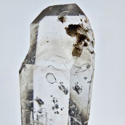Sceptre squelette en quartz fumé Enhydro, 1 pochette bulle Saint-Valentin, Namibie 65 x 20 x 14 mm 