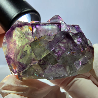 Spécimen de cube de fluorite fantôme, parqueté vert violet Okorusu, Namibie 46*41*26 mm 