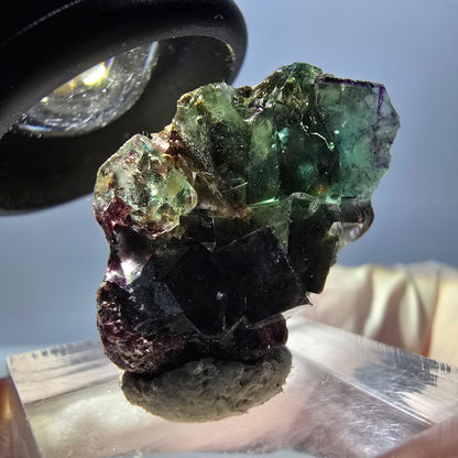 Spécimen de cube de fluorite fantôme, parqueté vert violet Okorusu, Namibie 27 x 20 x 12 mm 